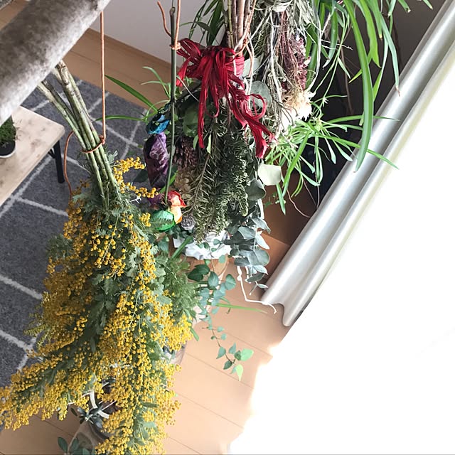 saさんの実例写真