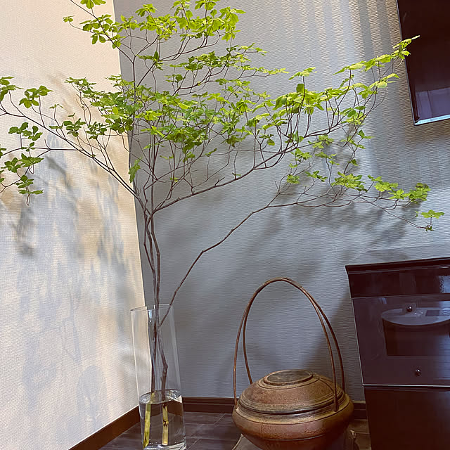 Amijonさんの実例写真
