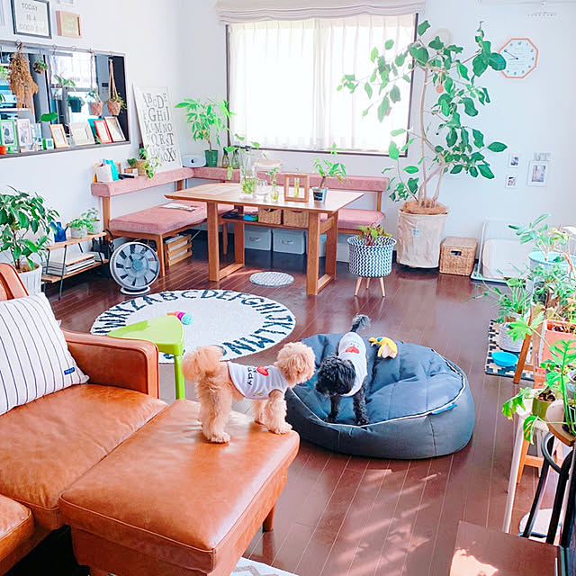 risaさんの実例写真