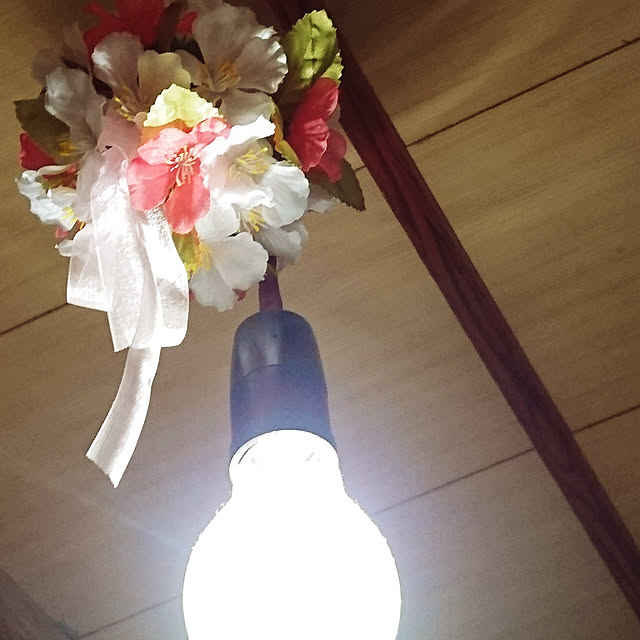 kogumaさんの実例写真