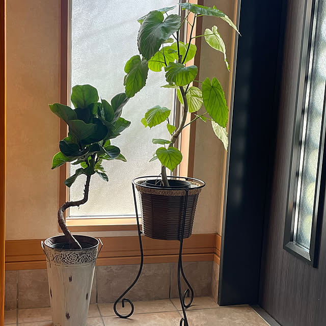 kuikoさんの実例写真