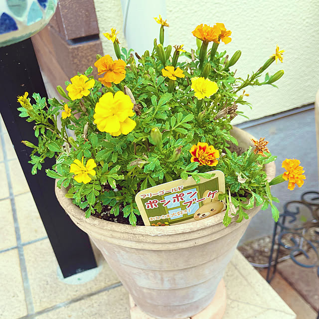 chikaさんの実例写真