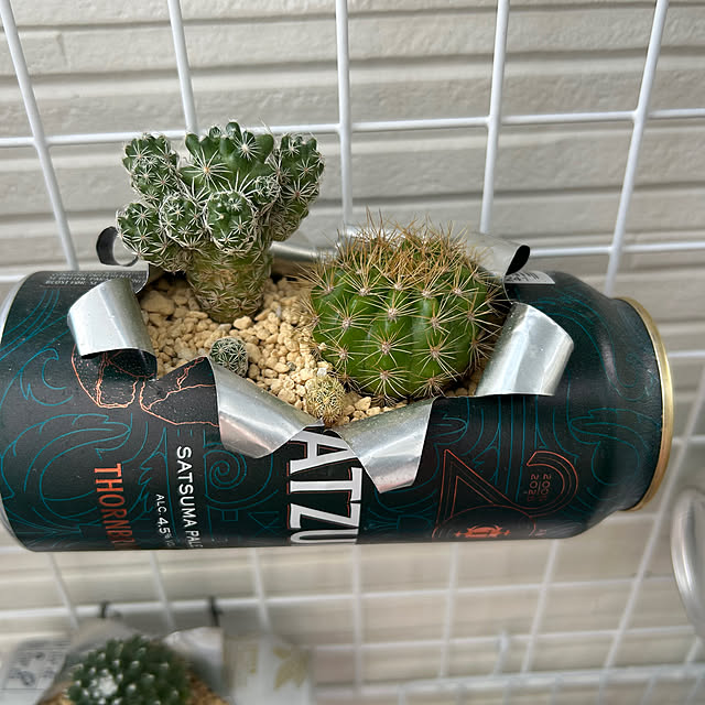 Mさんの部屋