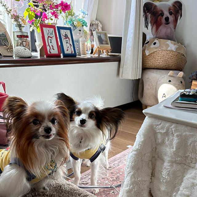 buddykoさんの部屋