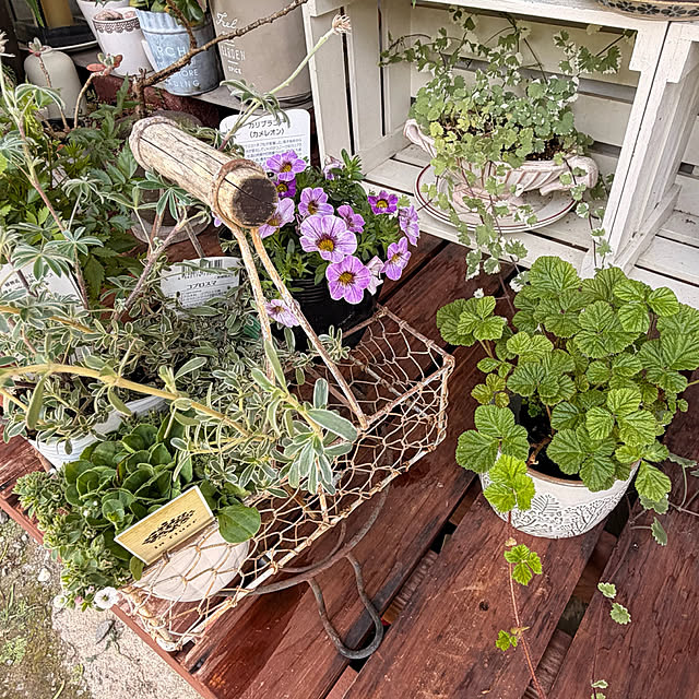 cotaさんの部屋