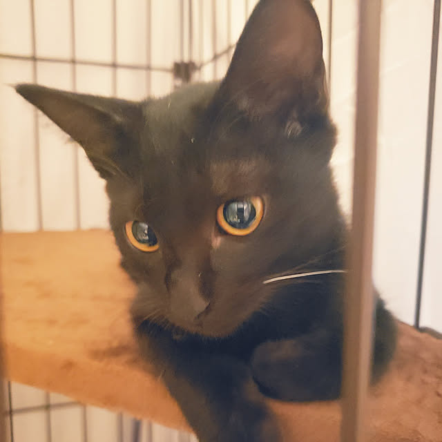 maple.0927さんの実例写真