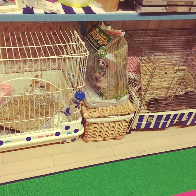Arataさんの実例写真