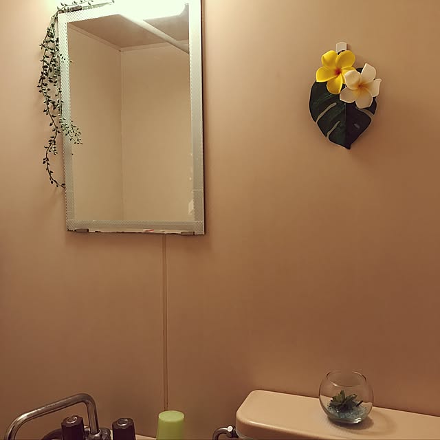 Momiさんの実例写真
