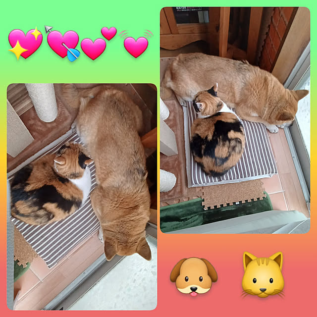 nanaさんの実例写真