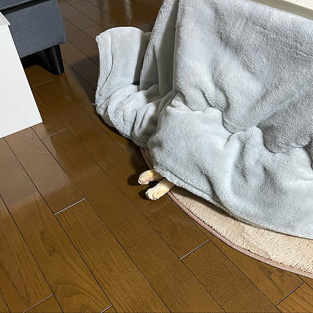 himetanさんの実例写真