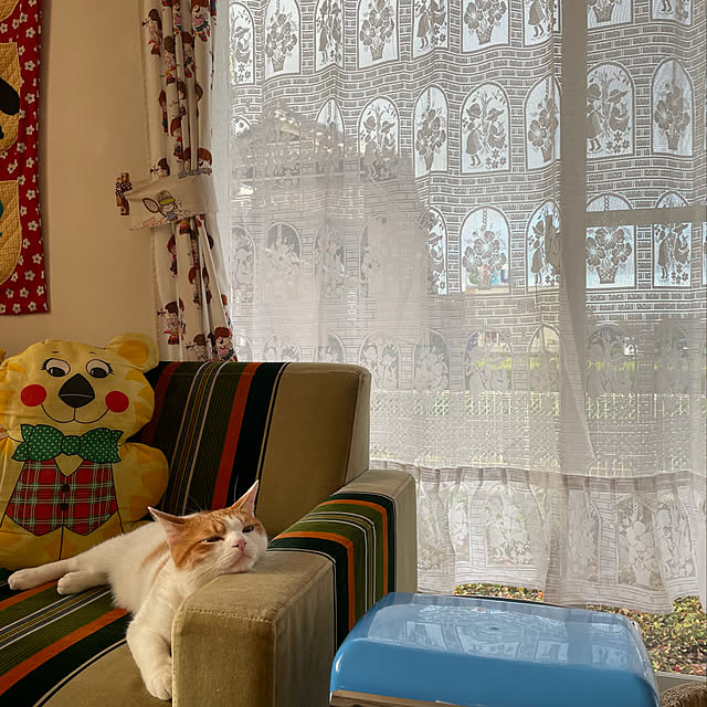 meさんの実例写真