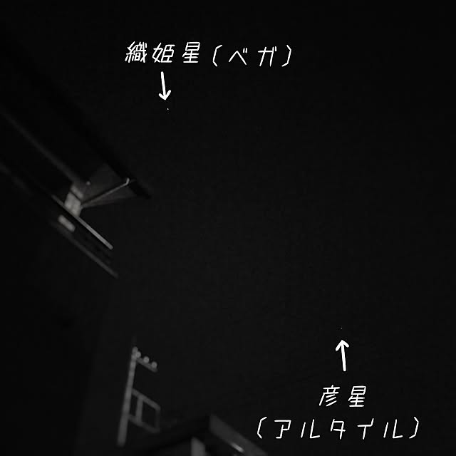 pecoさんの部屋