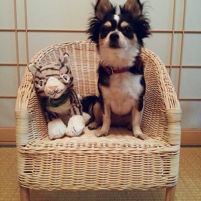rponさんの実例写真