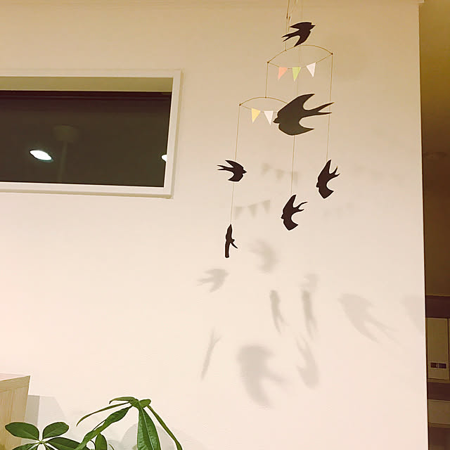sappippikoさんの実例写真