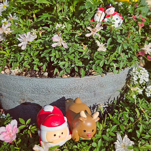 mocomocoさんの部屋