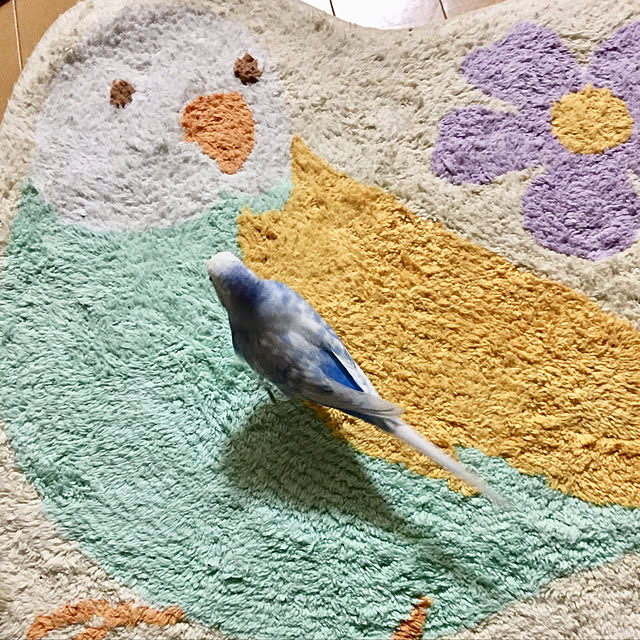 toratanさんの実例写真