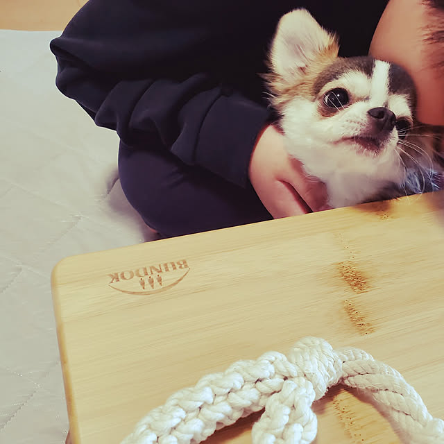 macyaさんの実例写真