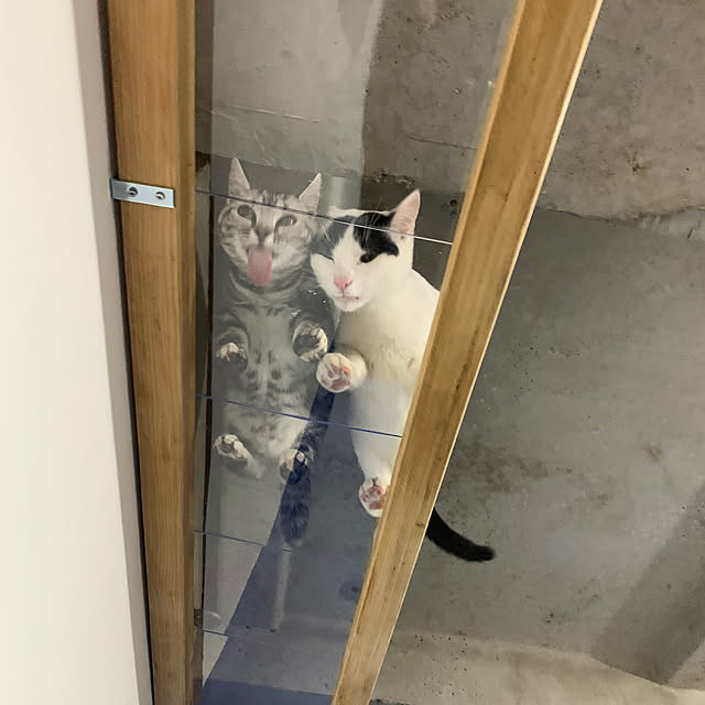 yuutamamehimaさんの部屋