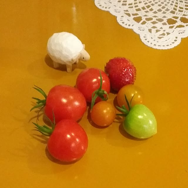 yukkoさんの実例写真