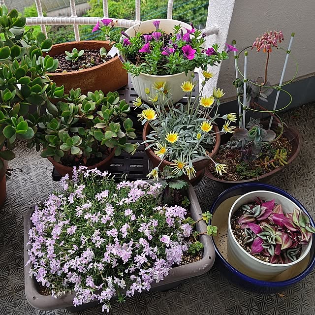 otibi.tt8787さんの部屋