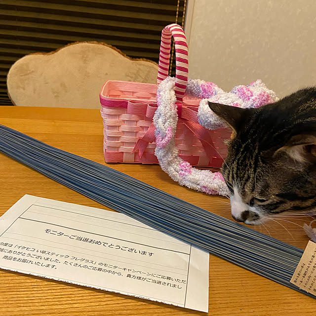 ippu0303Karinさんの実例写真