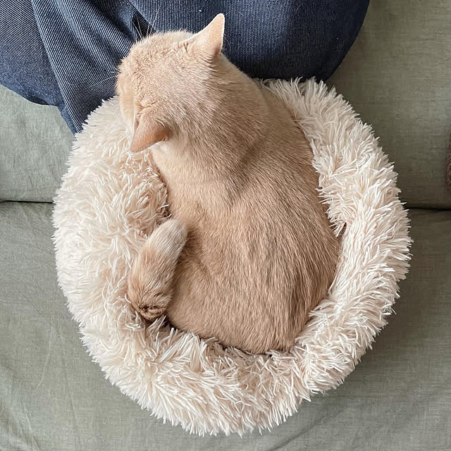 nicoさんの実例写真
