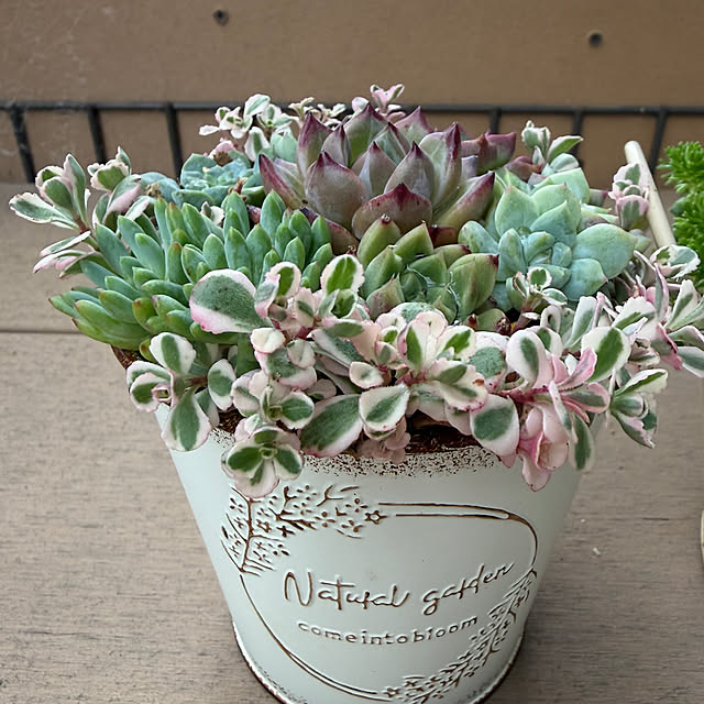naotokahoさんの部屋