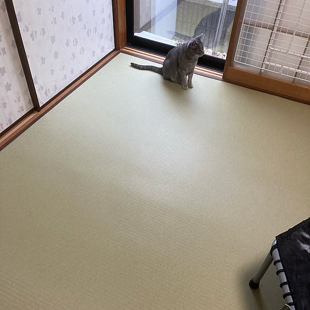 mikamintさんの実例写真