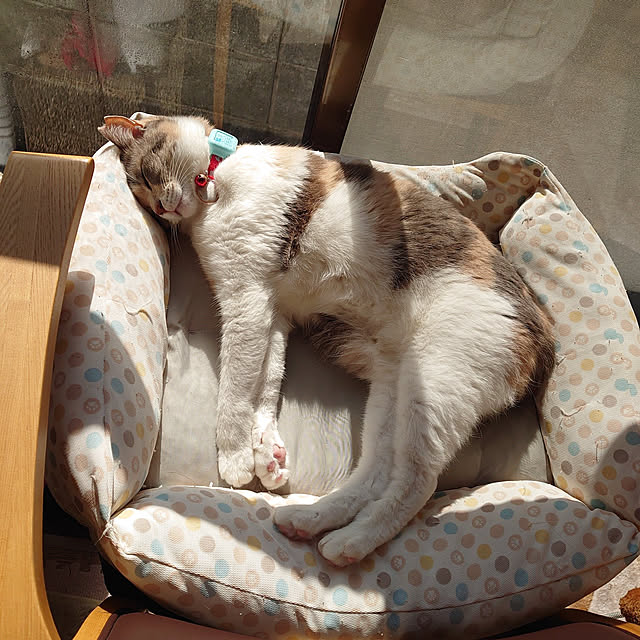 fukuさんの実例写真