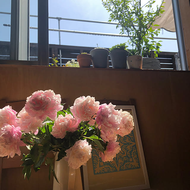 slownorisさんの実例写真