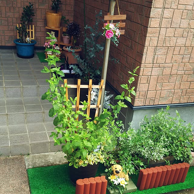 Tirorinさんの実例写真