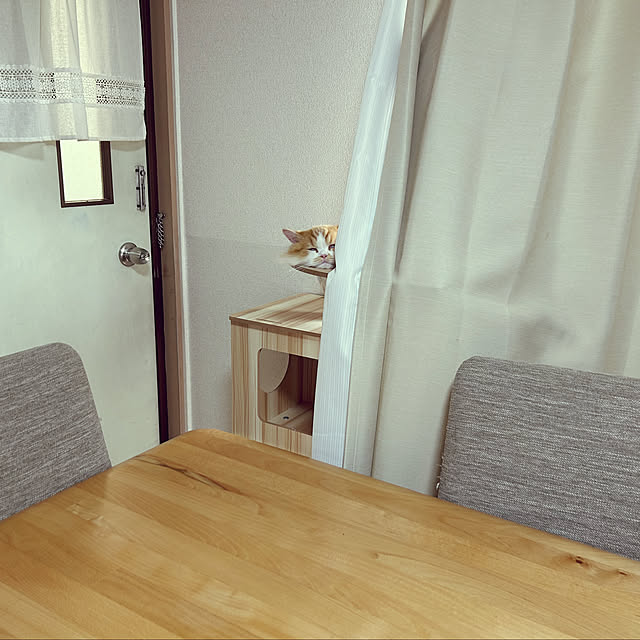 junさんの部屋