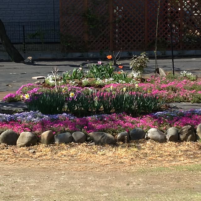 1182さんの実例写真