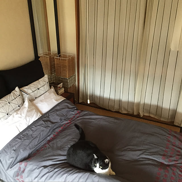 komachi55Nさんの実例写真