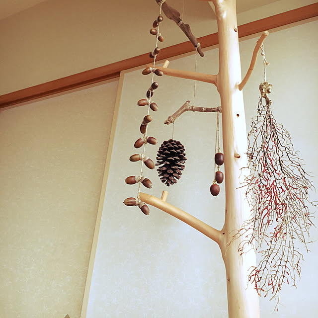 tannpopo_ayakoさんの実例写真