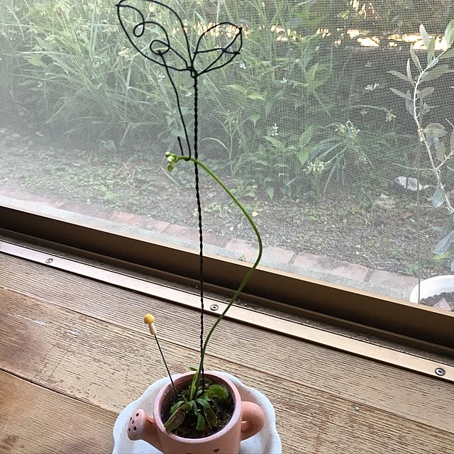 Ryosukiさんの実例写真
