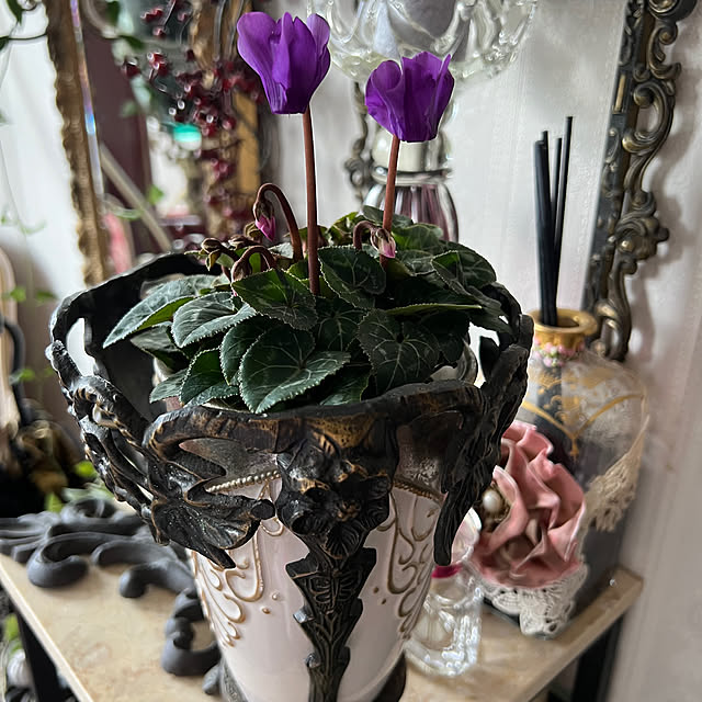 AYUKOさんの実例写真