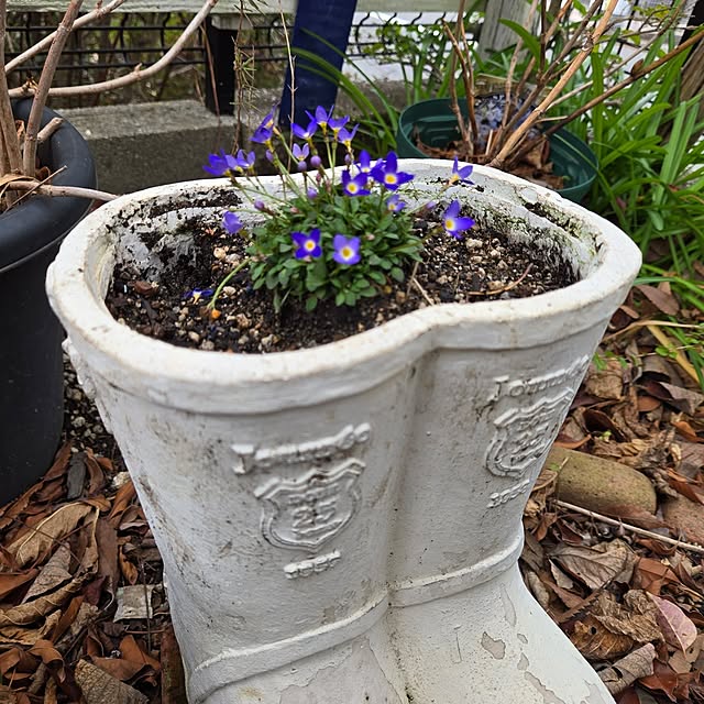 min_nimさんの実例写真