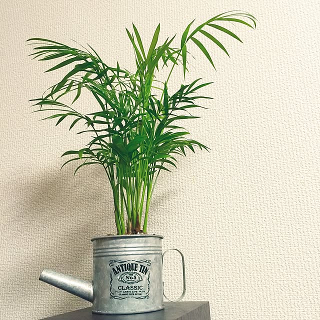 tsurumokuさんの実例写真