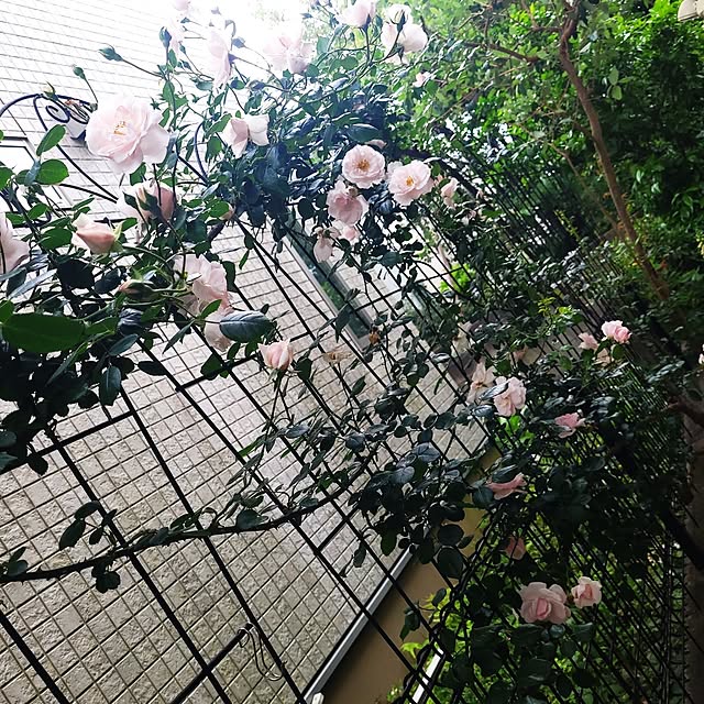 mimi828さんの部屋