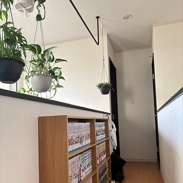 greycatsさんの実例写真