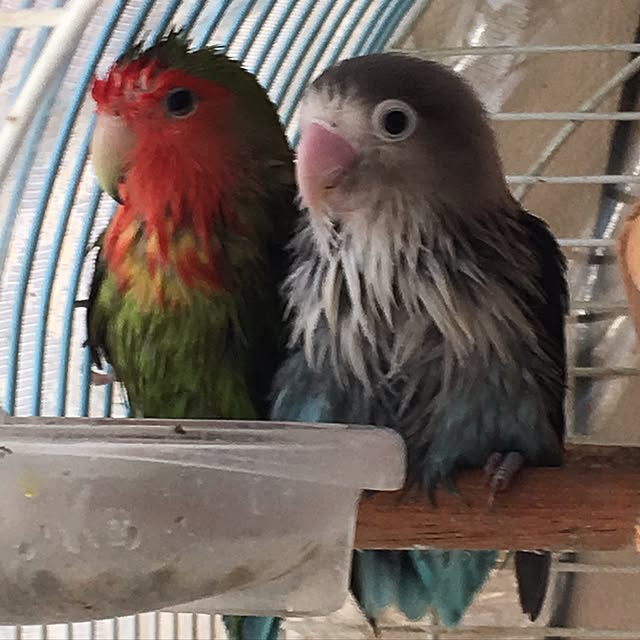 machakoさんの実例写真