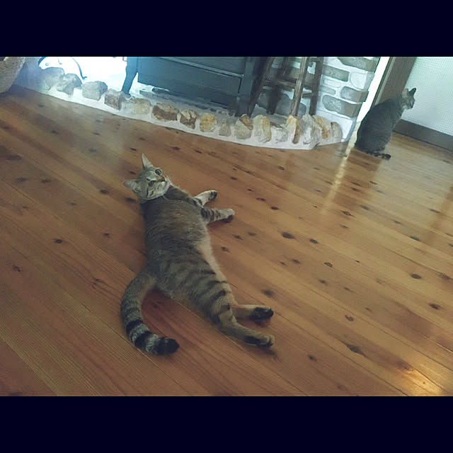 marusanさんの実例写真
