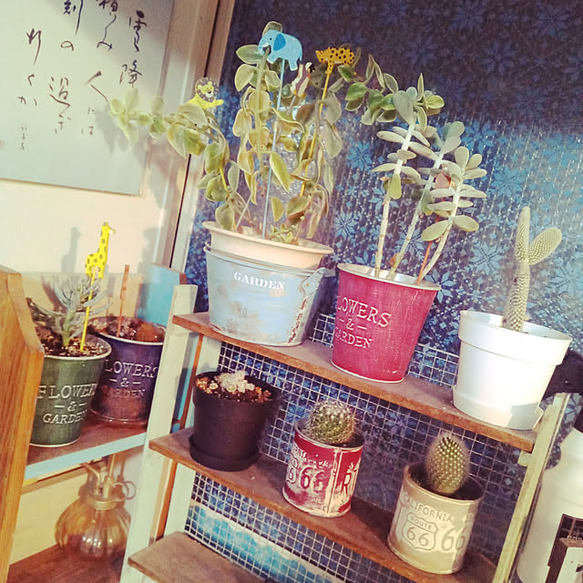 kashiyamasumiさんの実例写真