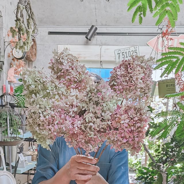 monnさんの実例写真