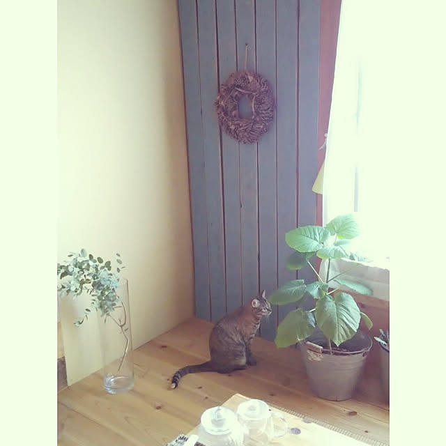 R.chocolate16さんの実例写真