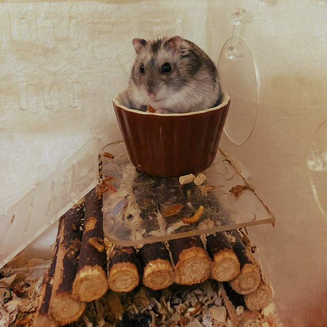 minmiさんの実例写真