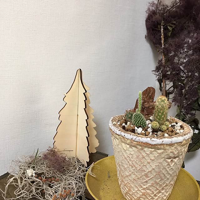 cccさんの実例写真