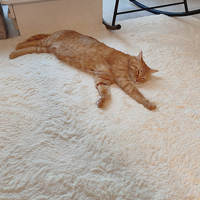 mii_home_39さんの実例写真