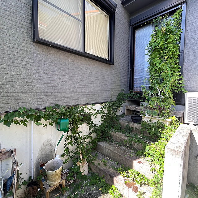 jijiさんの部屋